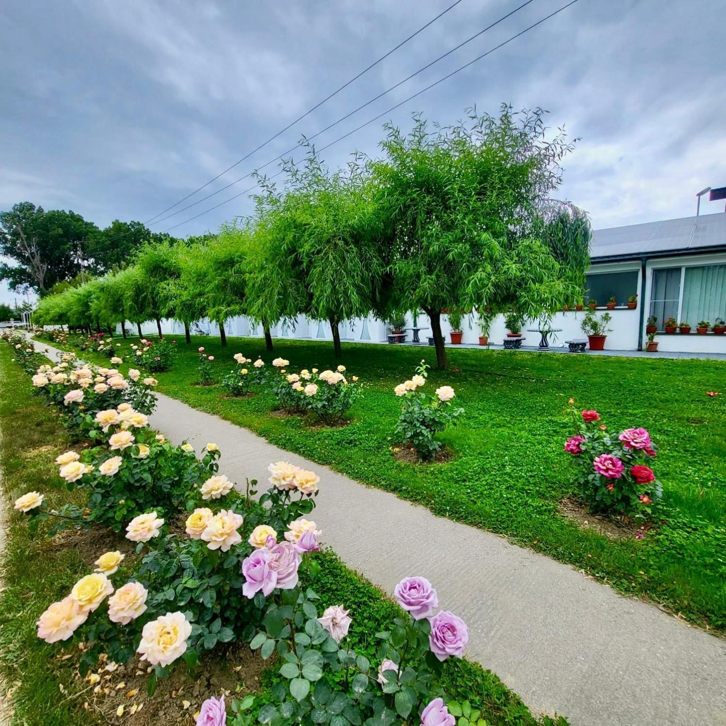 Отель Royal Park Complex Bascov Экстерьер фото